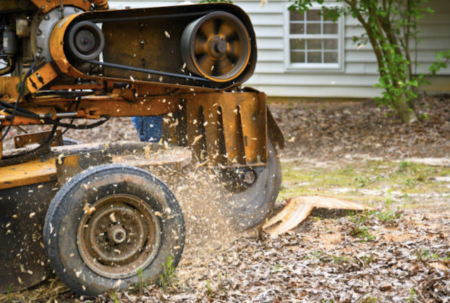 stump grinding bergen nj